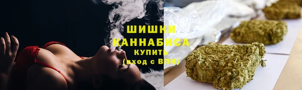 сатива Касимов