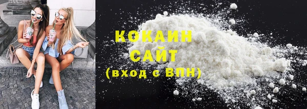 сатива Касимов