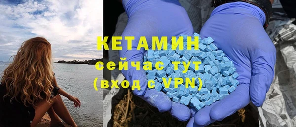 сатива Касимов