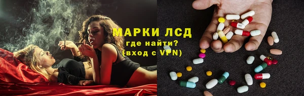сатива Касимов