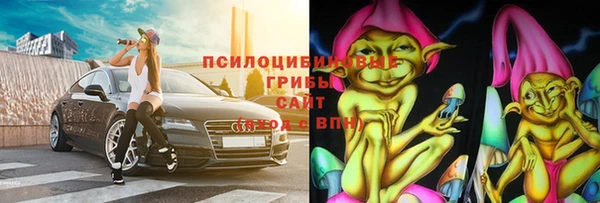 сатива Касимов
